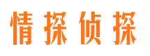 宾阳市私家侦探